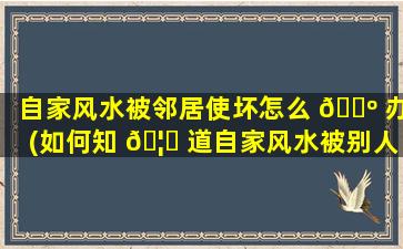 自家风水被邻居使坏怎么 🐺 办(如何知 🦁 道自家风水被别人*
)